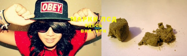 мяу мяу мука Арсеньев
