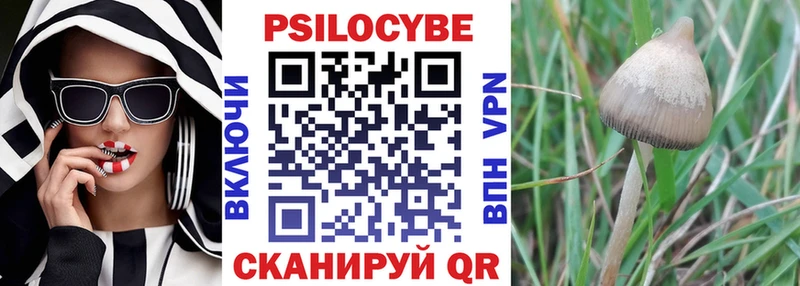 что такое наркотик  Чернушка  Псилоцибиновые грибы ЛСД 